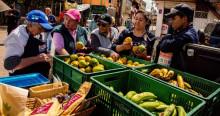 Foto de mujeres vendedoras de frutas en espacio público en Bogotá.