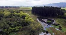 Foto de la Reserva Thomas van der Hammen en el norccidente de Bogotá.