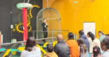 Foto de los vendedores informales en la jornada de cultura y arte en Maloka Bogotá.
