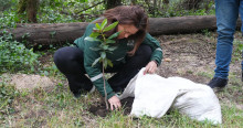 Foto que muestra una mujer sembrando un árbol 
