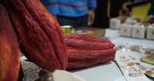 Foto de productos de cacao en Bogotá.