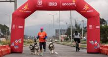 bogotano hace ejercicio con perros en Ciclovía de Bogotá