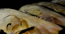 Imagen de figuras de arqueologia realizadas en 3D