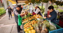 Foto de uno de los Mercados Campesinos en Bogotá.