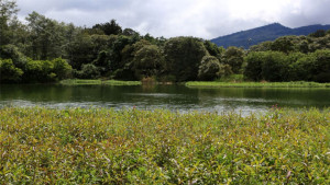 Comisión ambiental de Engativá