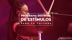 Programa Distrital de Estímulos septiembre 2019 