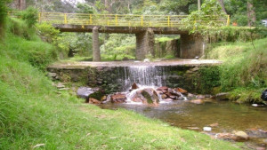 En Teusaquillo ven al Festival 'El Río Arzobispo, Vive Natural' 