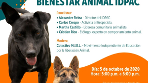 Semana de Protección y Bienestar Animal