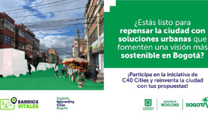 Se espera que las propuestas aborden problemas y oportunidades de mejora asociados con los espacios públicos y el abandono y deterioro de algunas viviendas. Además, las propuestas deben cubrir la reducción de emisiones, contemplando la acción climática basada en la necesidad de abordar los impactos del cambio climático en el marco del Plan de Acción Climática.