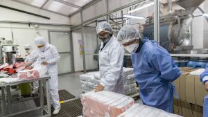 Personas revisando objetos