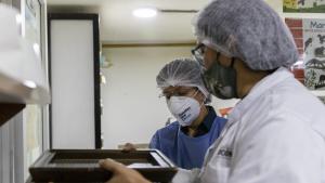 Personas recibiendo y despacho de objetos