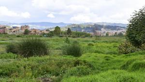 Caminatas ecológicas