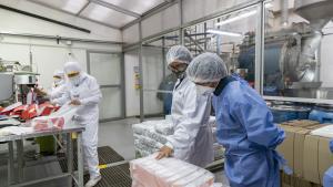 Personas en una empresa de producción