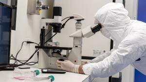 Doctor frente a un microscopio