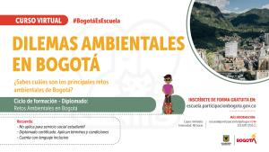 Gráfica de Dilemas ambientales en Bogotá