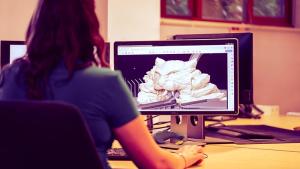 Contenidos digitales