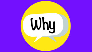 Why