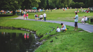 Picnic literario por el día de los Derechos humanos