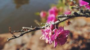 Corresponsabilidad Ambiental y Participación
