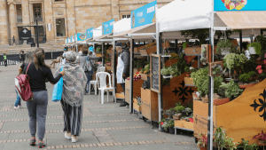 Aspecto de la Plaza de Bolívar durante el desarrollo de un Mercado Campesino.