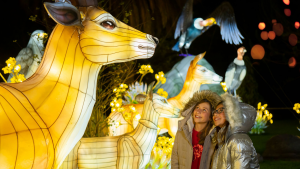 Imagen de un aspecto del Festival Brilla Colombia, dos niñas observan las decoraciones.