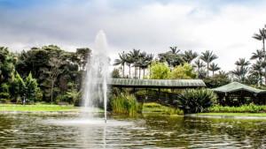 Jardín Botánico de Bogotá