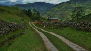 La franja ColombiaEnCorto de la Cinemateca de Bogotá llega para visualizar las memorias de la violencia rural. 