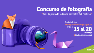 Celebremos juntos el Día Internacional de la Biodiversidad en Bogotá