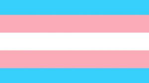 Bandera del orgullo trans.