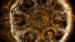 Esta sesión explora estos conceptos y navega tanto obras seminales como trabajos más recientes que plantean formas de creación experimental a partir de campos híbridos y expandidos. Imagen: Cinemateca de Bogotá.