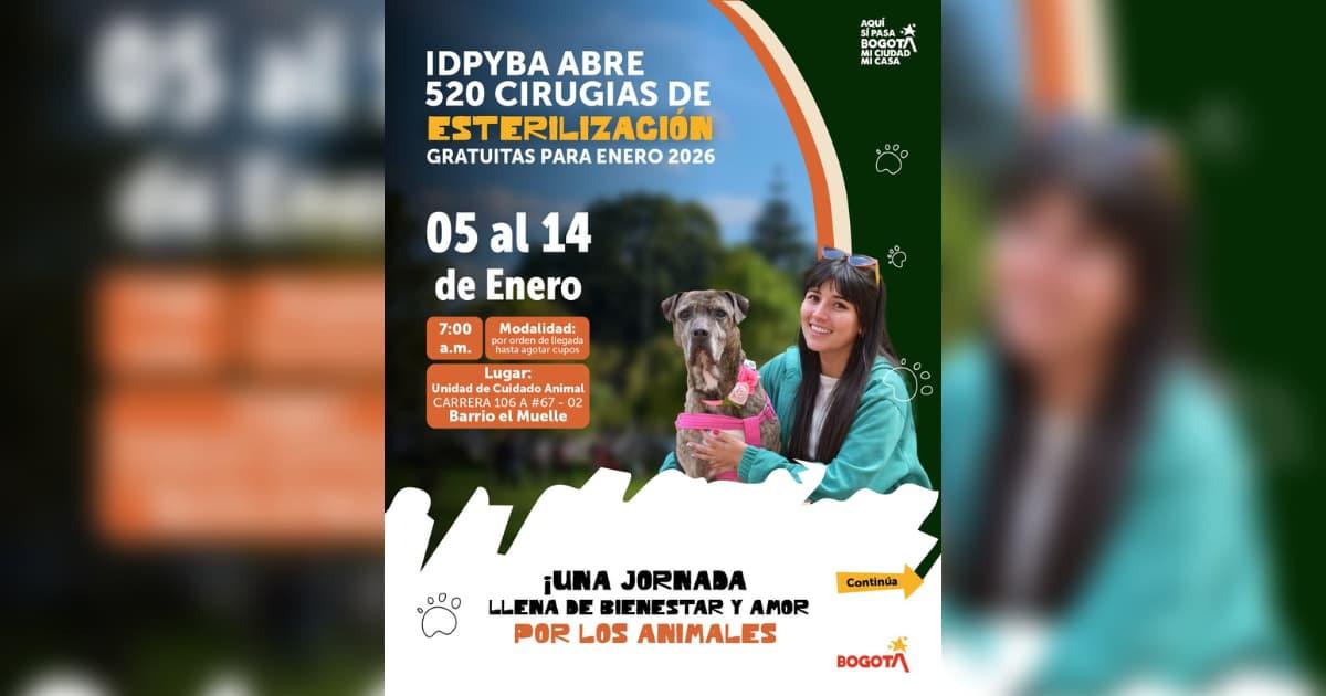 Pieza gráfica de esterilización gratis para perros y gatos enero 2026
