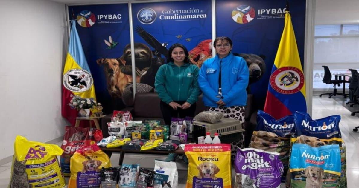 Foto de elementos entregados en la 'donatón' por los animales de Córdoba en Bogotá.