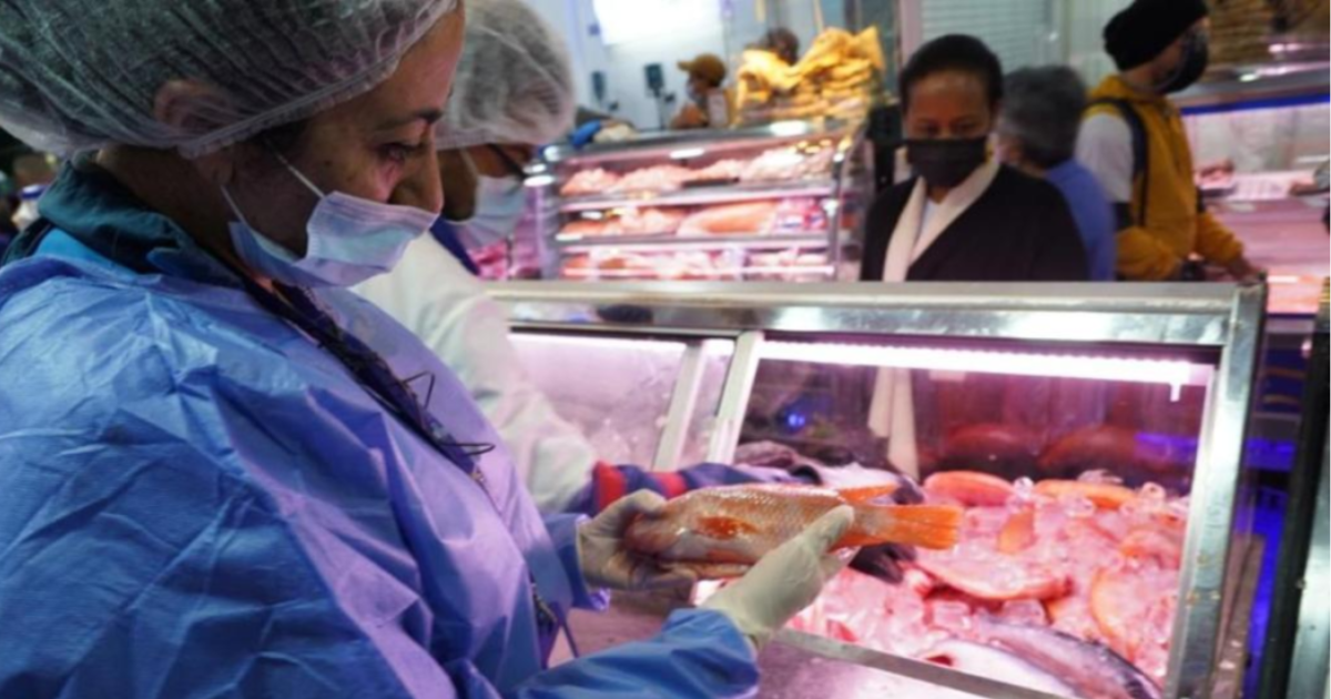 Foto de una funcionaria del Distrito examinando un pescado 