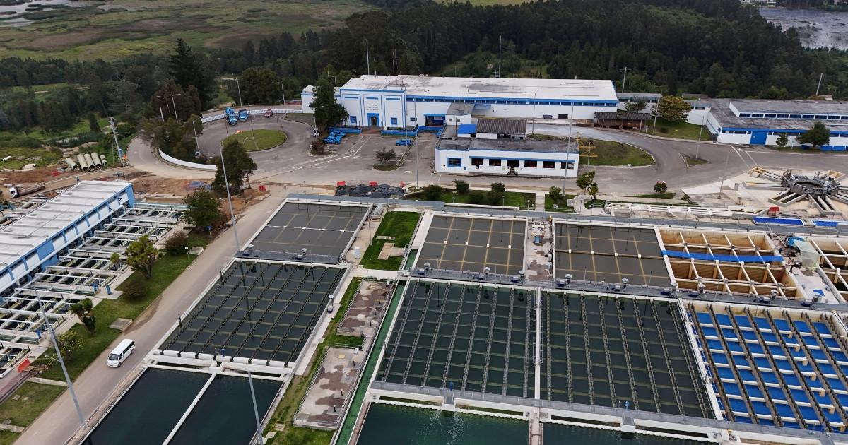 Foto que muestra la planta Tibitoc