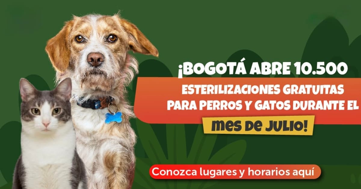 Perro y gato junto a pieza gráfica con texto literal: “¡BOGOTÁ ABRE 10.500 ESTERILIZACIONES GRATUITAS PARA PERROS Y GATOS DURANTE EL MES DE JULIO! Conozca lugares y horarios aquí”