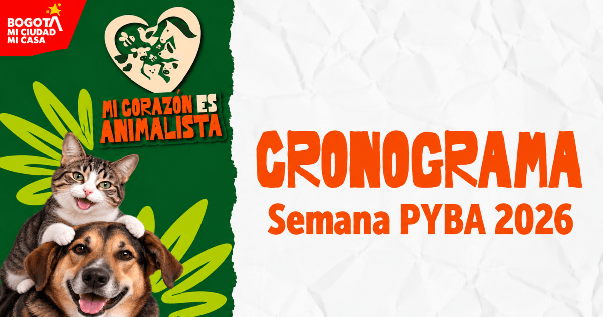 Pieza gráfica con ilustraciones de animales y el texto parcial “CRONOGRAMA Semana PYBA”, relacionada con actividades de bienestar y protección animal.