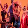 Dance company in the middle of a show