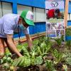 Horticultura para mejorar hábitos alimenticios pacientes renales Tunal
