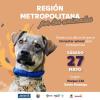 Jornada gratuita de bienestar animal sábado 27 de mayo en C. Bolívar