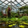 Tropicario del Jardín Botánico