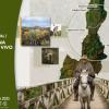 Conversatorio virtual 'Vida Campesina y Patrimonio Vivo en Sumapaz'