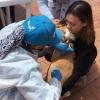 veterinaria vacunado a un perro y su dueña abrazandolo