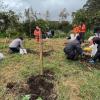 En humedal La Conejera se plantaron 135 nuevos árboles. Sec. Ambiente