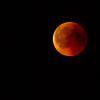 Luna de Sangre el próximo 28 de octubre
