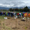 Secretaría de Ambiente plantó 207 nuevos árboles en el sur de la ciudad
