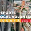 Reporte Local Voluntario