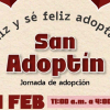 ¿Buscas un peludito para tu hogar? Este sábado 24 de febrero jornada de adopción