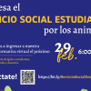 Vuelve en Bogotá el servicio social estudiantil por los animales