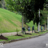 Bogotá es reconocida como ‘Ciudad Arbolada del Mundo’ por cuarta vez