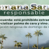 Distrito hace llamado para proteger palmas silvestres en Semana Santa